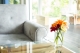 glazen tafel-tuin-glaskoning2